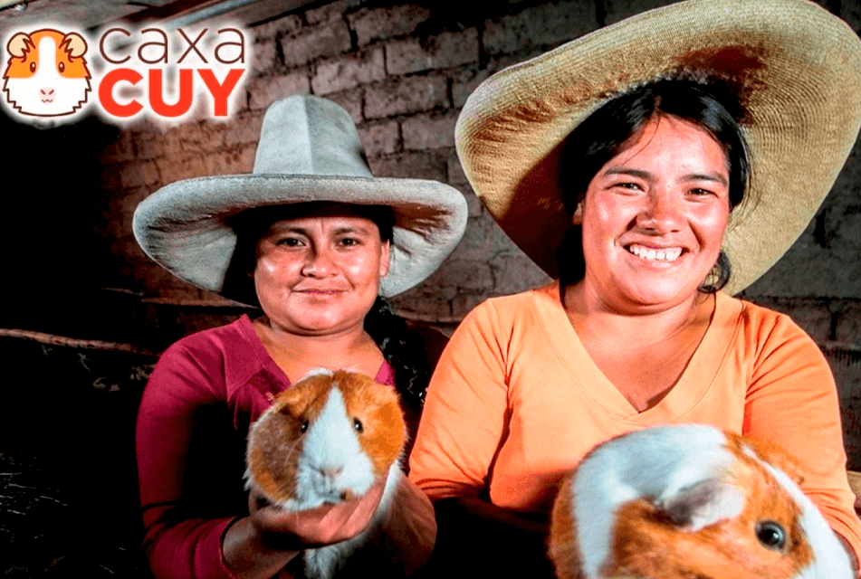 Festival Regional CaxaCuy cuy Cajamarca Perú