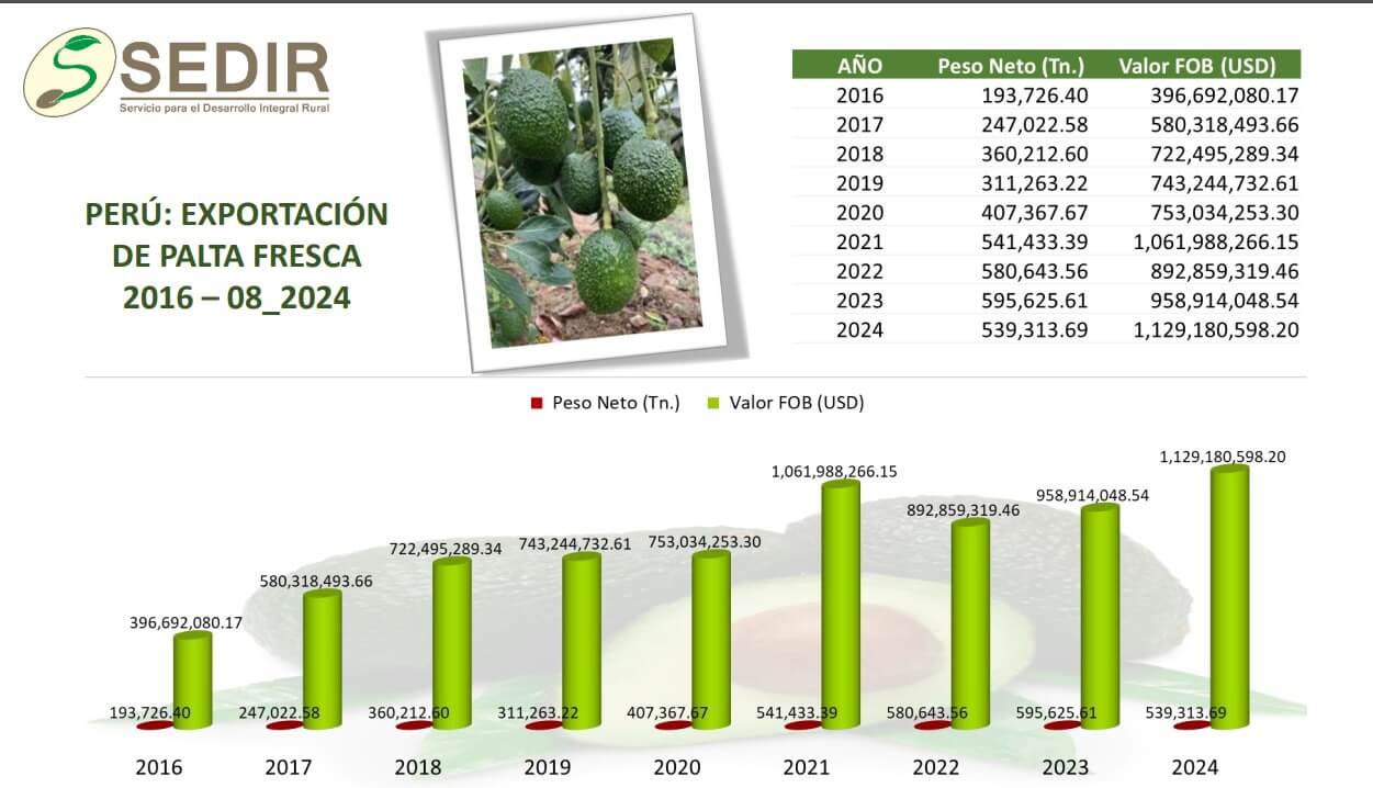 exportaciones de palta peruana en cifras Sedir Ancash