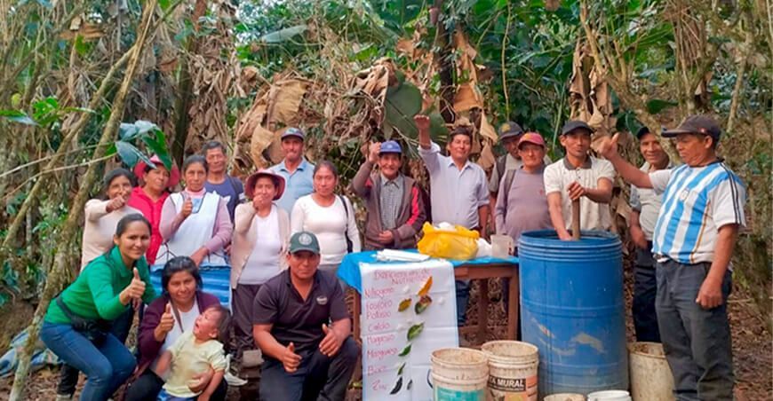 Conforman comités fitosanitarios comunales para mejorar las parcelas cafetaleras de Cusco Devida Perú