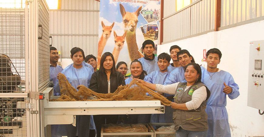 Comuneros se capacitan en predescerdado y descerdado manual de fibra de vicuña de Apurímac Perú