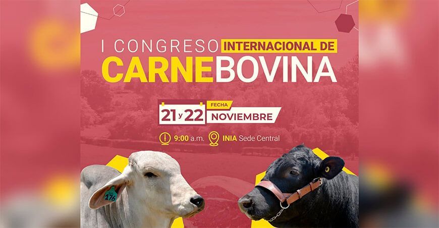 INIA organiza el I Congreso Internacional de Carne Bovina