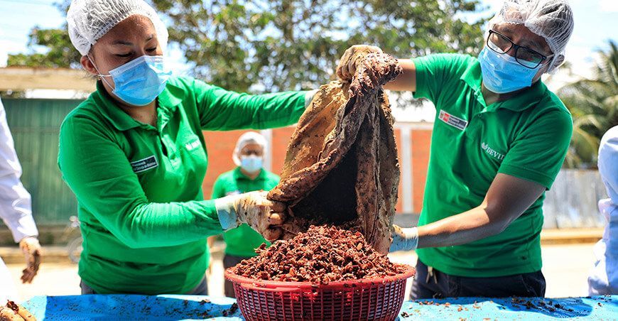 Familias asháninkas participaron en taller sobre producción de hongos comestibles Vraem Devida Perú