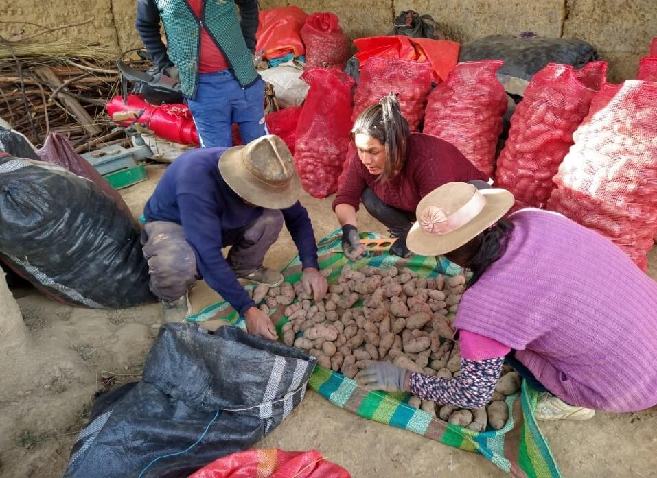empoderamiento femenino productoras rurales de papa agricultura familiar Perú