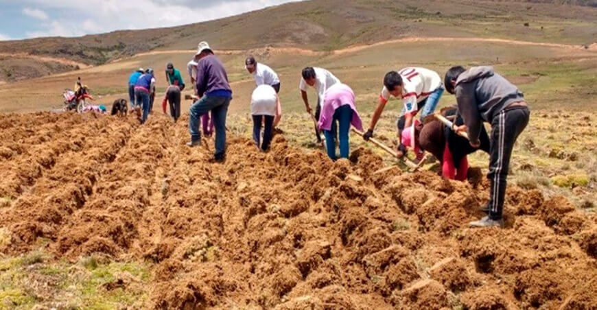 productoras rurales agricultura familiar Perú