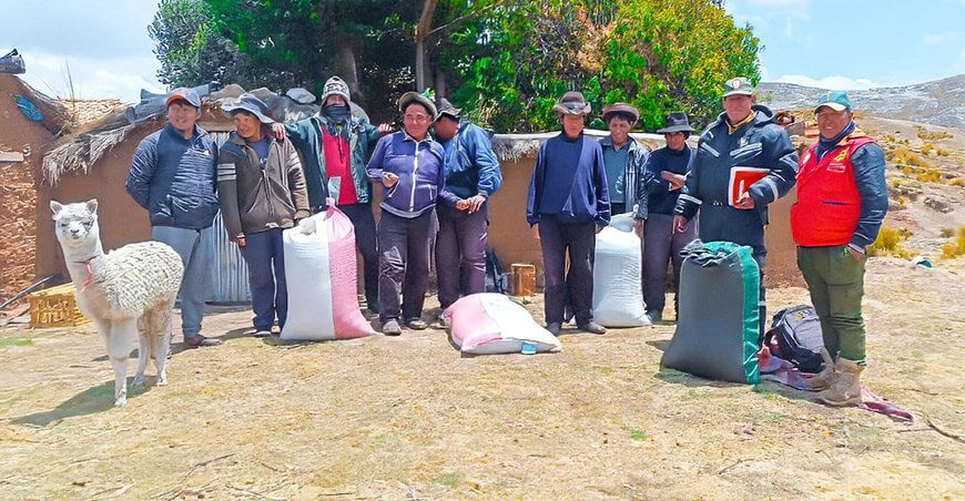 Entregaron semillas de avena forrajera a ganaderos de Cerce Ayacucho Perú