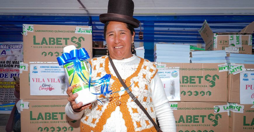 alpaqueros recibieron suplementos para 2 millones de alpacas Puno Perú