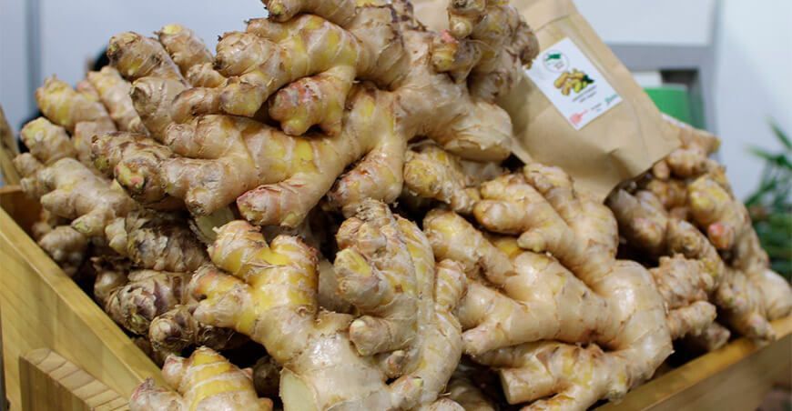 exportación de jengibre Perú