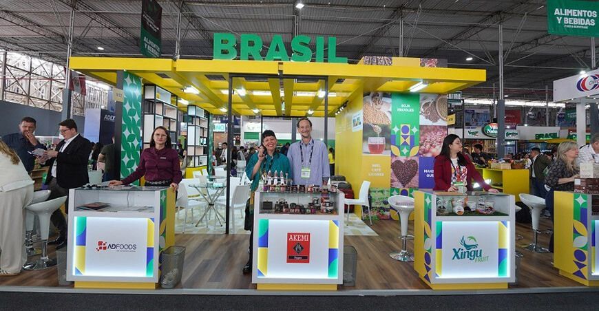 exportaciones peruanas hacia Brasil