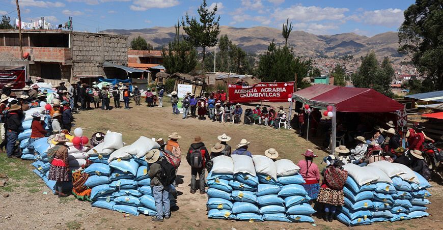Inician entrega de 70 toneladas de semillas de pastos a productores de Chumbivilcas Cusco Perú