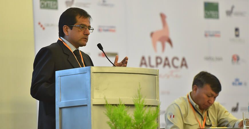 Foro Alpaca Connect: 19 expertos internacionales debatirán sobre la sostenibilidad de los camélidos