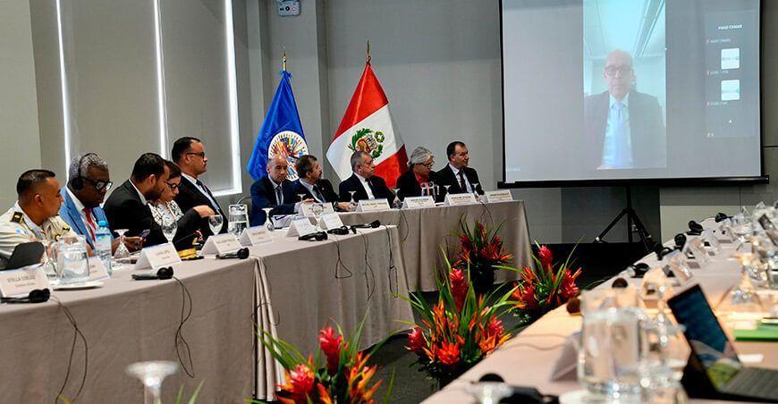 Grupo de Expertos sobre Desarrollo Alternativo Integral y Sostenible Lima Perú Devida
