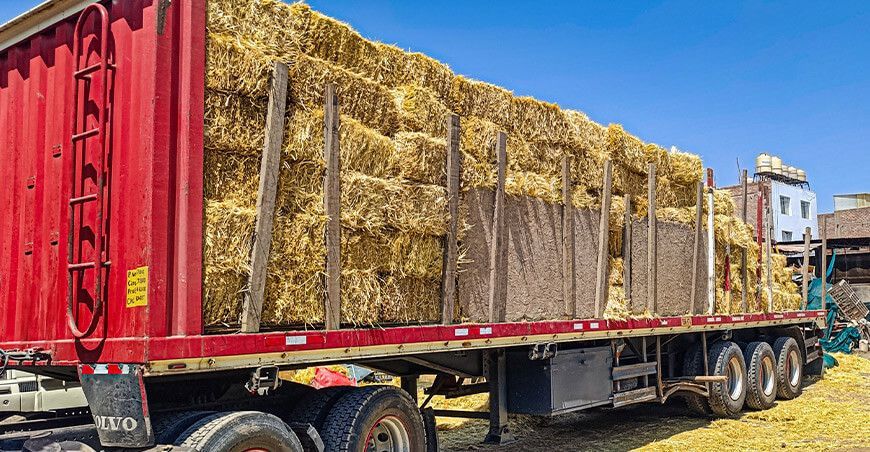 GORE Arequipa distribuyó pacas de heno a ganaderos
