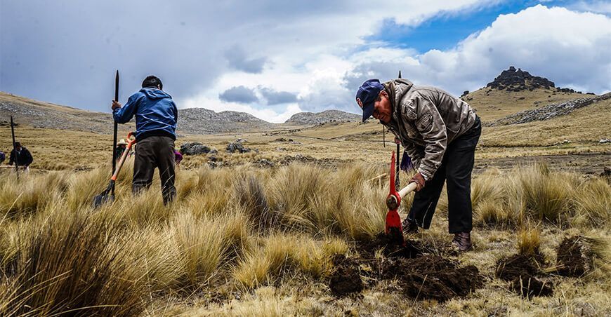 campaña de reforestación Chetilla Cajamarca Perú
