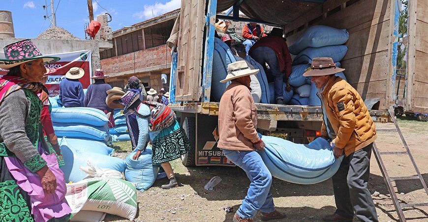 GORE Cusco entrega semillas de pastos productores de Chumbivilcas Perú