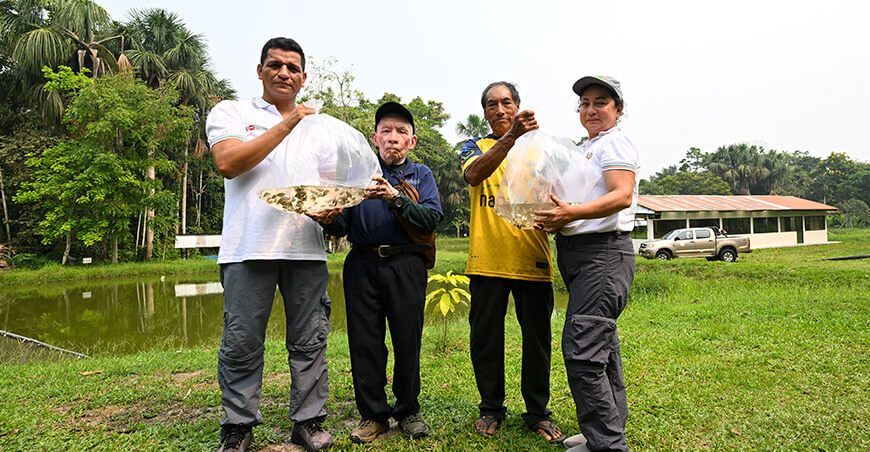 IIAP entrega alevinos peces amazónicos Perú