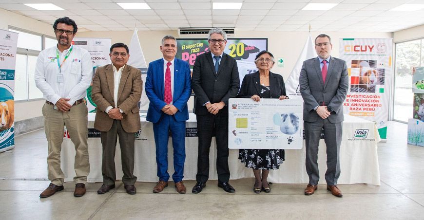 INIA conmemora 20 años de la liberación de la primera raza de cuyes Perú con alta calidad genética