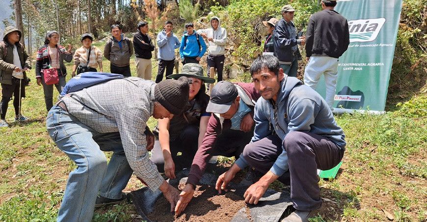 INIA capacita en el mejoramiento maíz y suelos agrarios a productores y estudiantes  Pasco Perú 