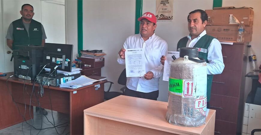 Midagri transfiere 1200 pajillas de semen de vacuno de alta calidad genética a ganaderos de Piura