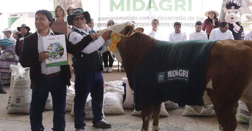 entregó tres ejemplares de ganado vacuno a municipalidades distritales, como parte de las iniciativas del INIA