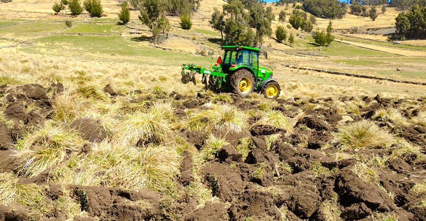 Entregaron semillas de avena forrajera a ganaderos de Cerce Ayacucho Perú