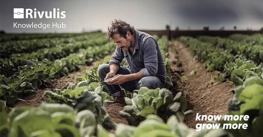 Cómo la inteligencia artificial está revolucionando las técnicas de riego en la agricultura