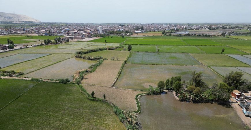 mejoramiento de canal de riego mejorará campos agrícola en Samuel Pastor Arequipa Perú