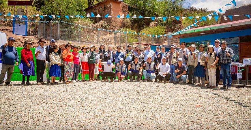 Apurímac impulsa la producción de palta con nuevo Centro de Transferencia Tecnológica
