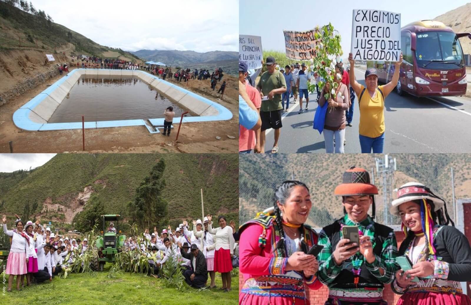 Pilares clave: Infraestructura de riego y vial, precios justos, asociatividad y conectividad son esenciales para impulsar el desarrollo sostenible del sector agrario en las regiones andinas y amazónicas.