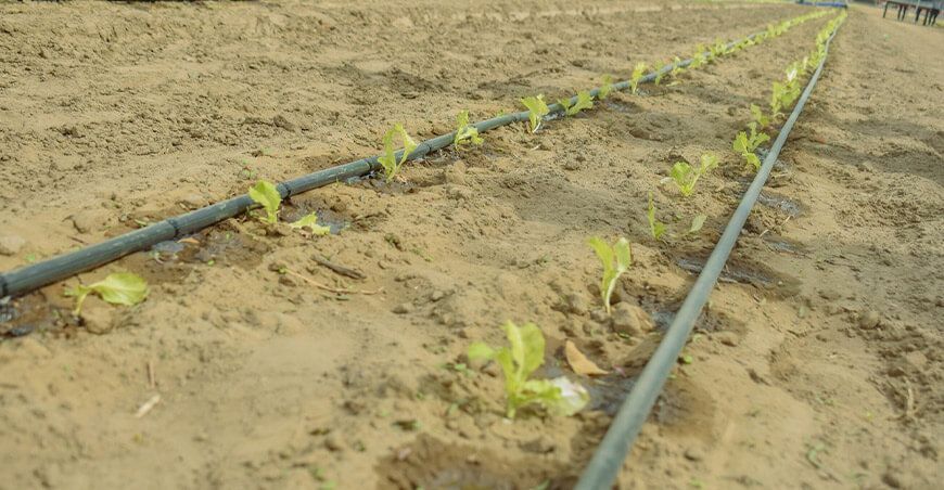 Piura ejecuta el proyecto “Agricultura sostenible resiliente al cambio climático”