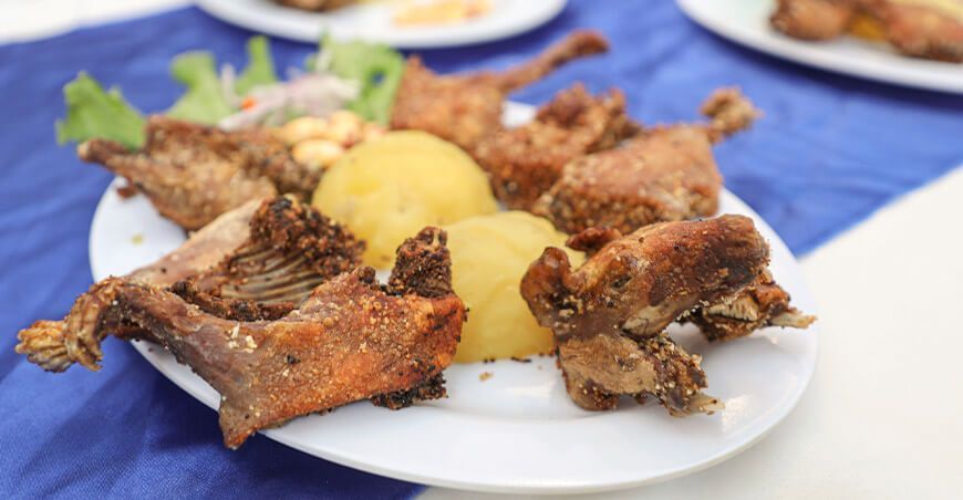 Festival Gastronómico del Cuy Junín