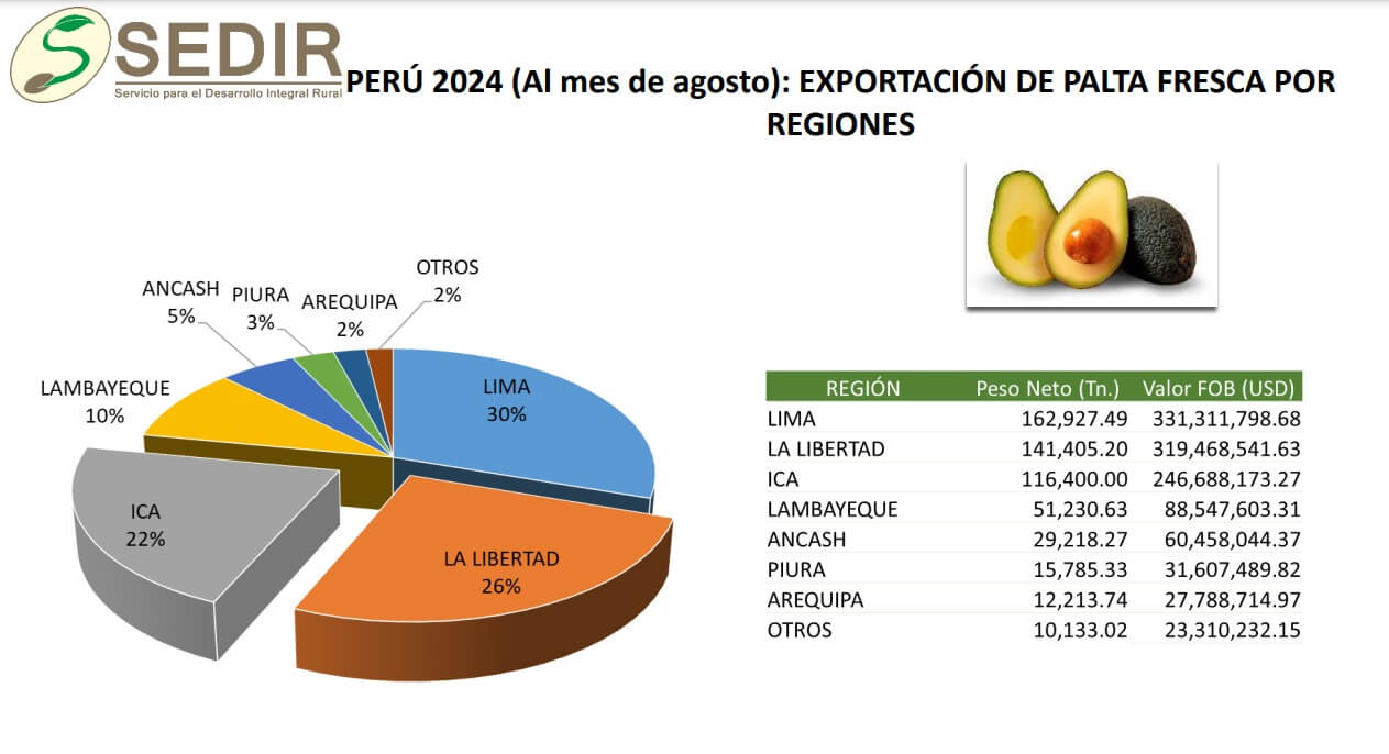 principales regiones exportadoras de palta peruana Sedir Perú