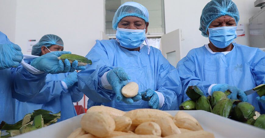 Capacitaron a emprendedoras en el procesamiento y transformación del plátano Loreto Perú