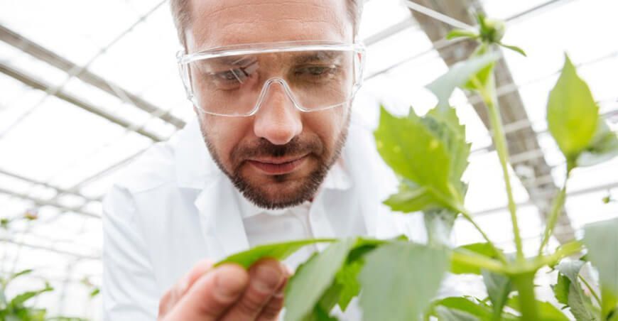 Prociencia convoca a concurso para financiar proyectos de investigación aplicada Concytec Perú