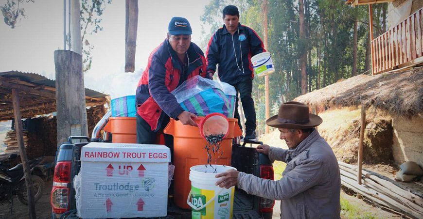 Procompite Ancash entregó alevines trucha a productores acuícolas e Chacas