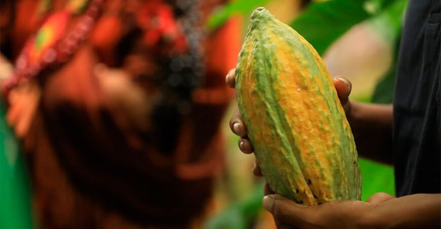 Devida inicia intervenciones directas en Vizcatán del Ene para impulsar producción de cultivo de cacao Perú