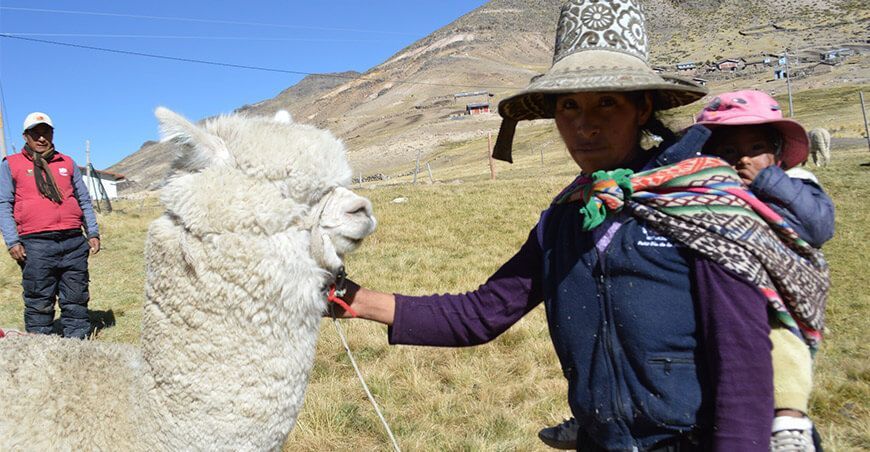 productoras alpaqueras Perú
