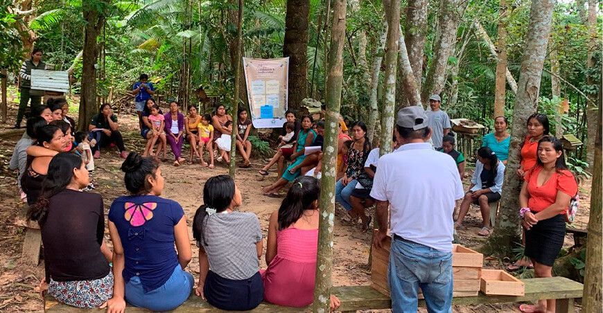 productoras apícolas Impulsan el emprendimiento femenino en Loreto y Cusco para dedicarse a la apicultura Perú
