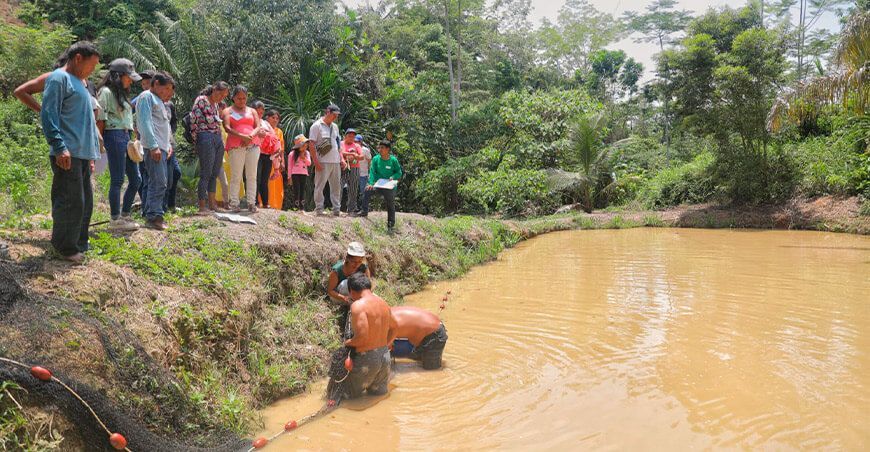 Devida y ANA otorgaron permisos de uso de agua apiscicultores de Pangoa y Mazamari, garantizando seguridad jurídica y promoviendo el uso responsable del recurso hídrico