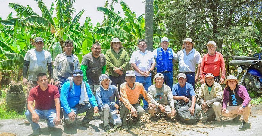 DRAP Piura Impulsan la producción bananera de la la Asociación de Pequeños Agricultores del sector Carrasco La Matanza Piura Perú