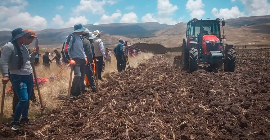 semillas para campaña de siembra de pastos Productores Junín Agro Rural Perú