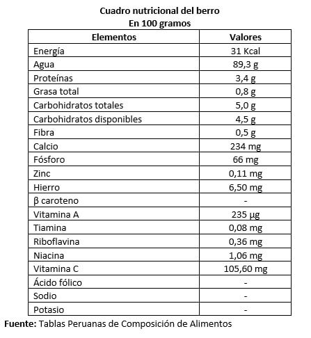 propiedades nutricionales berros