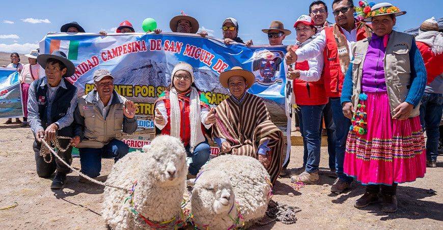proyecto de camélidos sudamericanos GORE Moquegua Perú