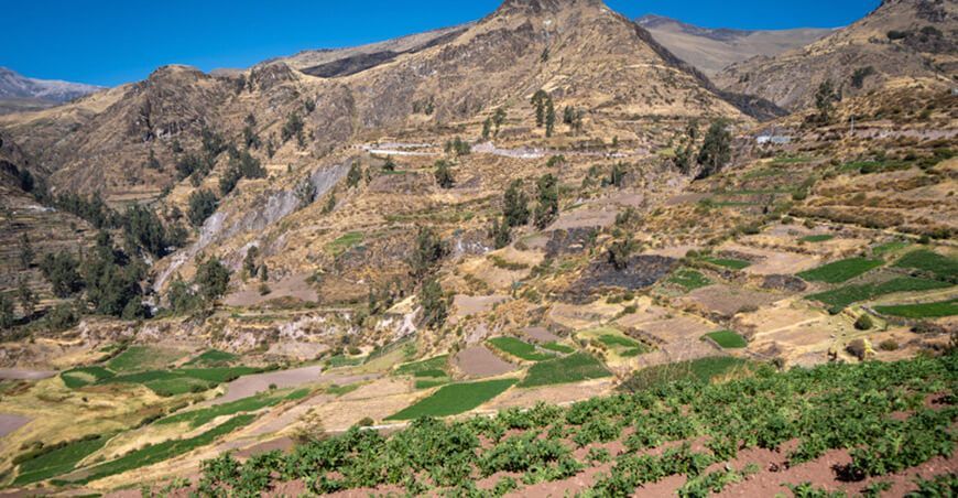 Proyecto “Andenes y paisajes culturales productivos” Moquegua Perú