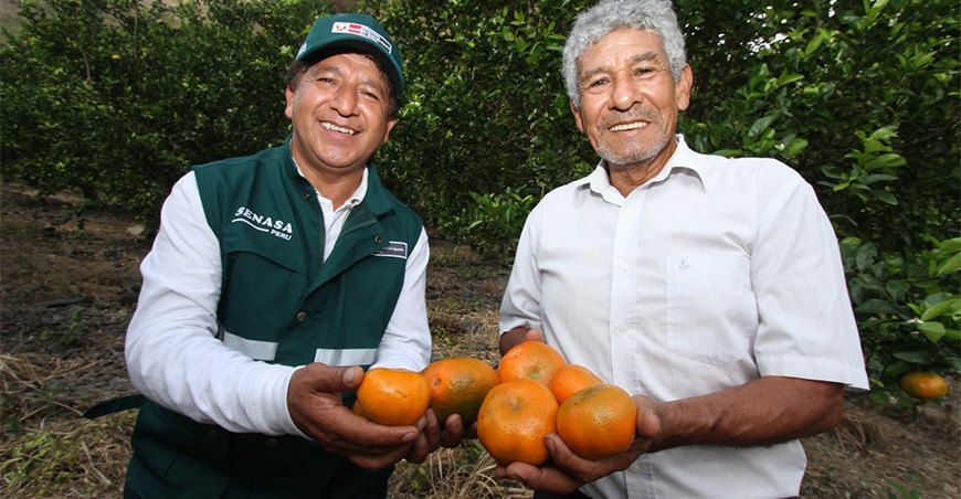 Senasa Perú productor de cítricos Cusco Perú