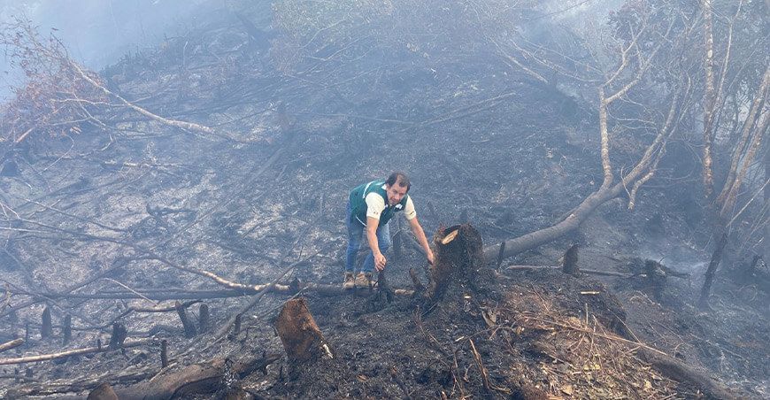 Serfor inició proceso sancionador a poblador que provocó incendio forestal en San Ignacio Cajamarca Perú