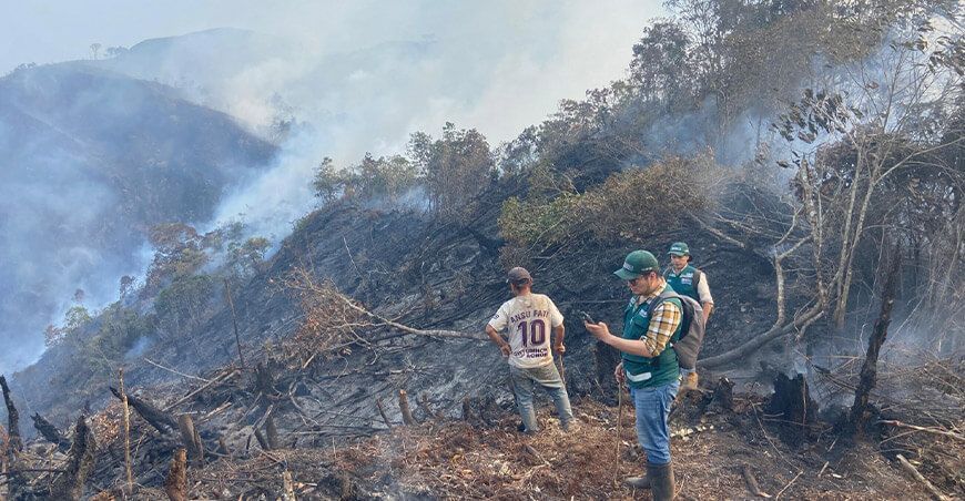Serfor inició proceso sancionador a poblador que provocó incendio forestal en San Ignacio Cajamarca Perú