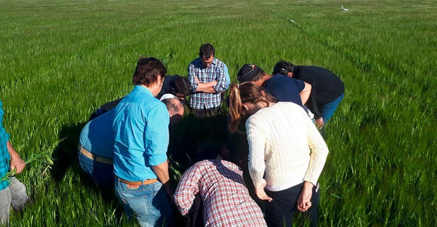 capacitaciones son esenciales en la industria agrícola Syngenta plataforma gratuita ProAgricultor 