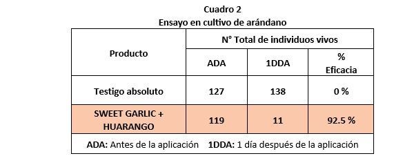 trips ensayo cultivo arándanos Perú