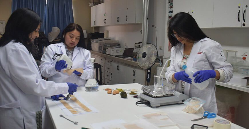 UNALM presentará un proyecto sobre el uso de IA para optimizar la producción de alimentos
