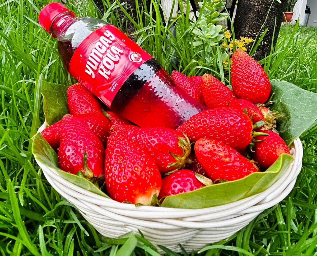 Yungay Kola gaseosa de fresas Ancash Perú